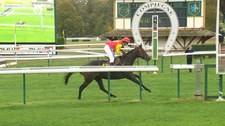 PRIX COLONEL D'ENGLESQUEVILLE - FEGENTRI - CHALL. DE L'OBST. EQUINAXY ...