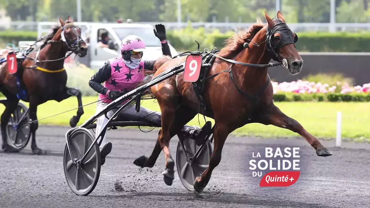 Quinté+: Hooker Berry, la base solide du Quinté+ de ce dimanche 12 ...