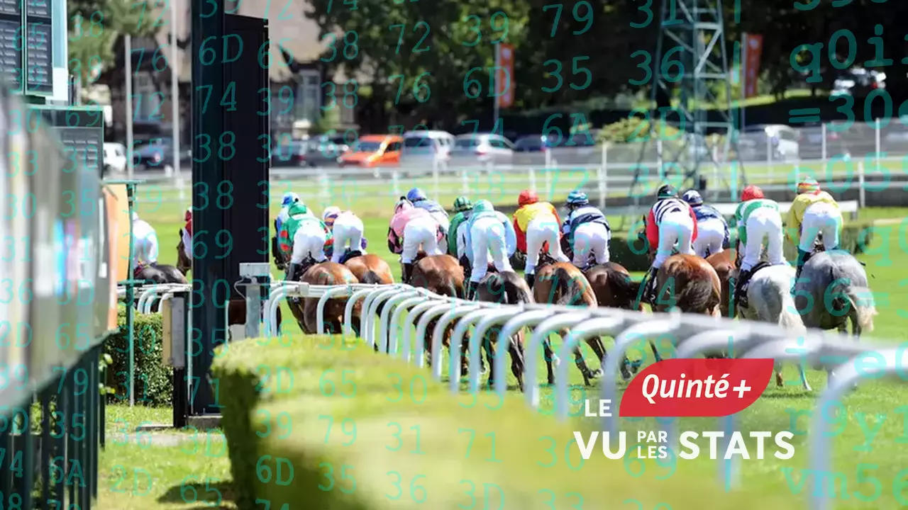 Quinté+ Le Quinté+ du lundi 14 octobre vu par les statistiques Equidia