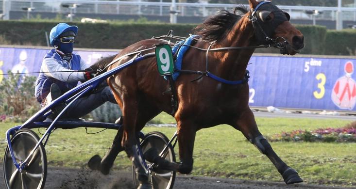 comment regarder equidia en direct gratuitement bastien dubois accident