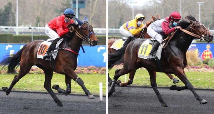 Prix Ali Hawas Prix Felicien Gauvreau Ideale Du Chene Et Ici C Est Paris Attendus Au Tournant Equidia