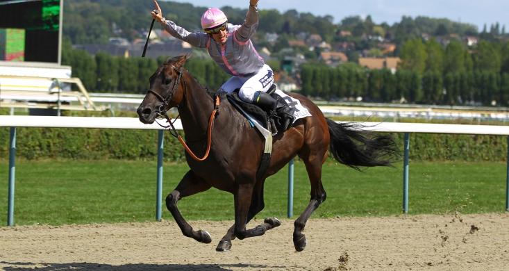 Au Galop Une Saison à Cheval Replay Le défi des jockeys trot/galop 2019 | Equidia
