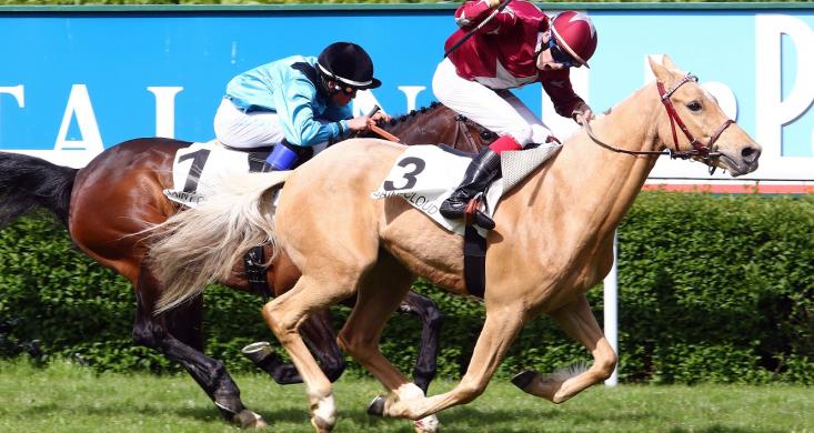 Le champion de France des courses de poneys sacré le 9 septembre à ...