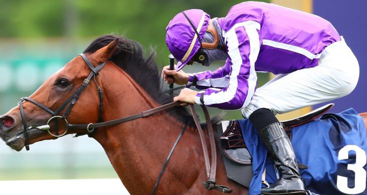 Quinte Prix Du Jockey Club R1c5 16 Heures A Chantilly Saint Mark S Basilica Au Firmament Equidia