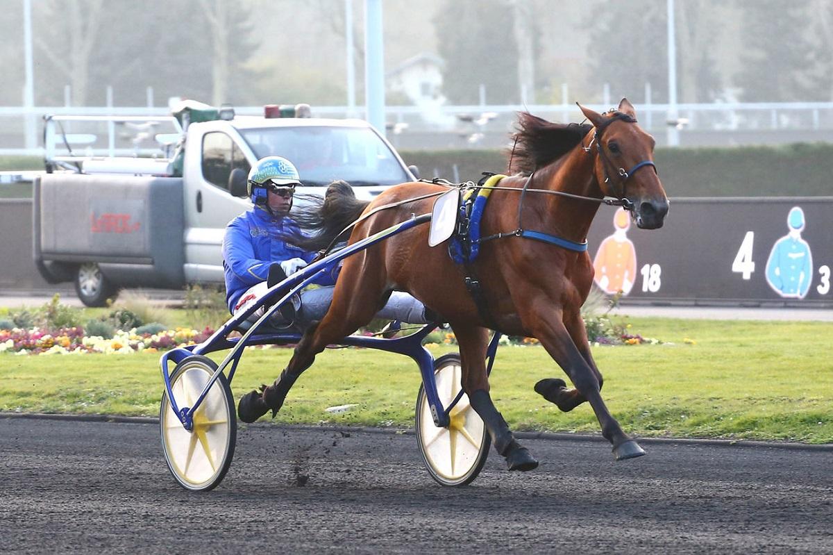 Pronostic Et Statistique Des Courses De Chevaux Quinté+: Pronostics : Le Quinté+ du jeudi 22 septembre vu par les  statistiques | Equidia