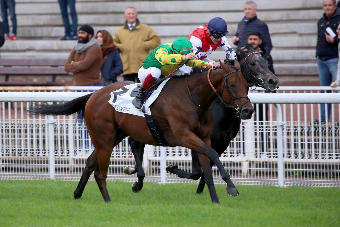 Stéphane Cérulis « En 2022 il a manqué un cheval de Groupe. J ... - Equidia.fr