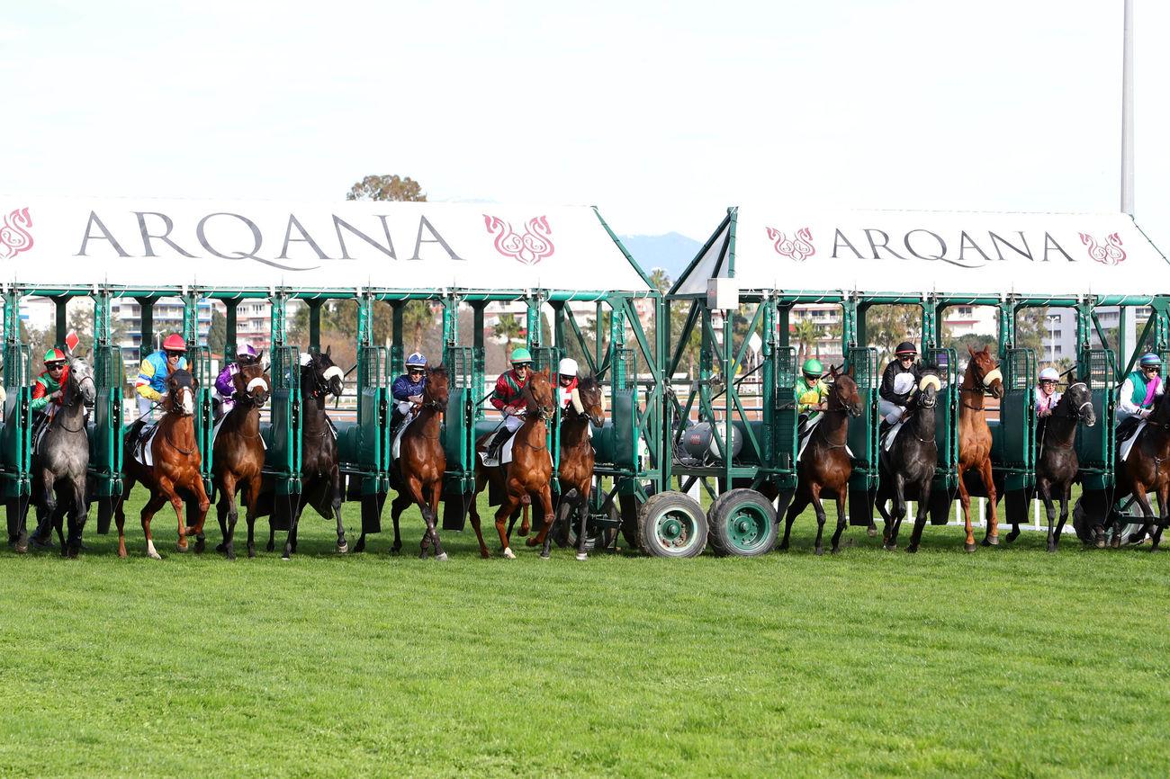 Calendrier Courses Hippiques Janvier 2023 L'agenda De La Semaine Du 17 Au 23 Janvier 2022 Avec Le Prix De Cornulier  En Ligne De Mire | Equidia