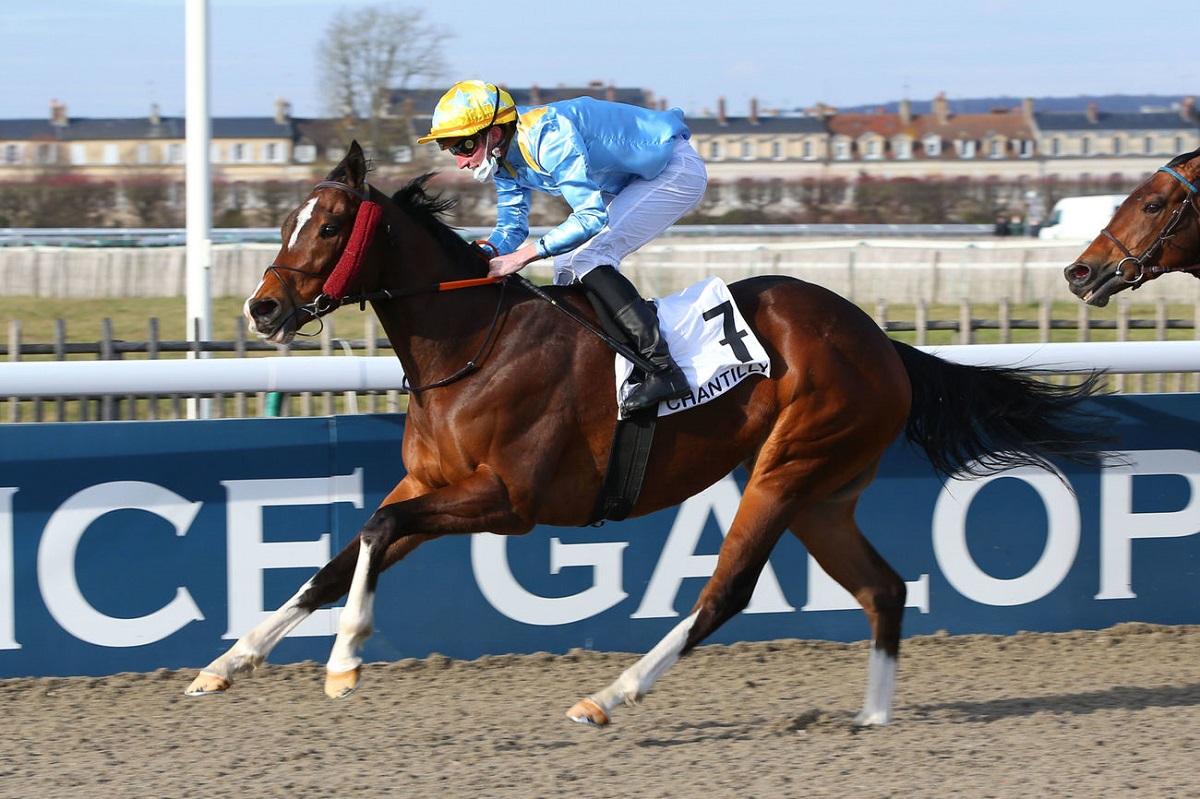 Pronostic Et Statistique Des Courses De Chevaux Quinté+: Le Quinté+ du mardi 7 mars vu par les statistiques | Equidia