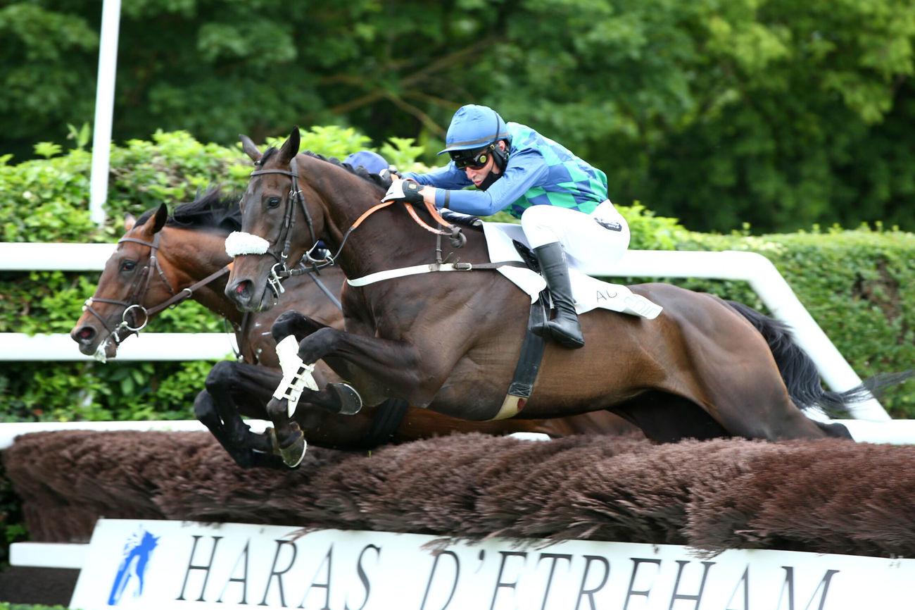 Montre cross equitation deals