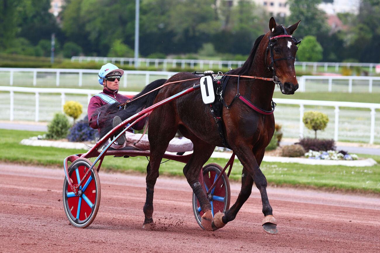 Le pro du jour - François Lagadeuc : 