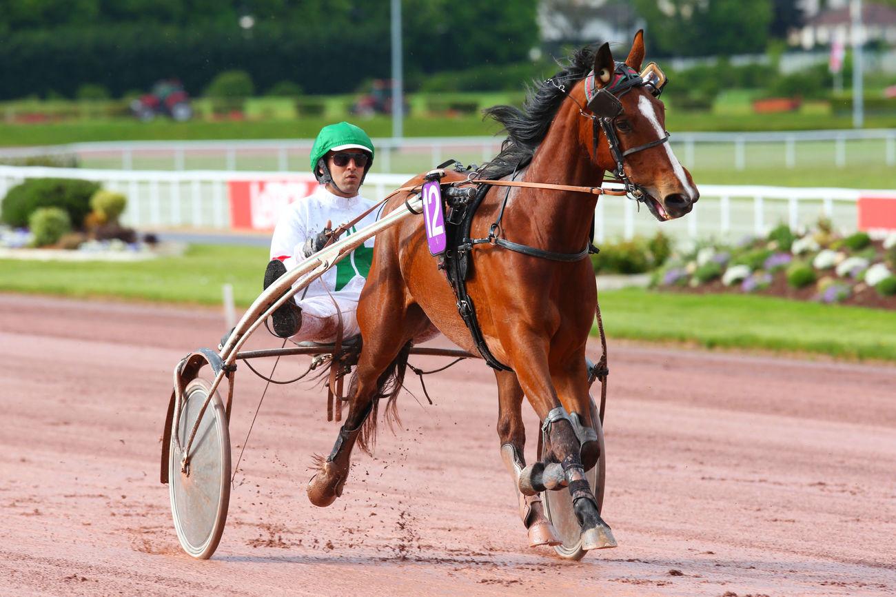 Quinté+: Le Pro du jour - Stéphane Provoost : 