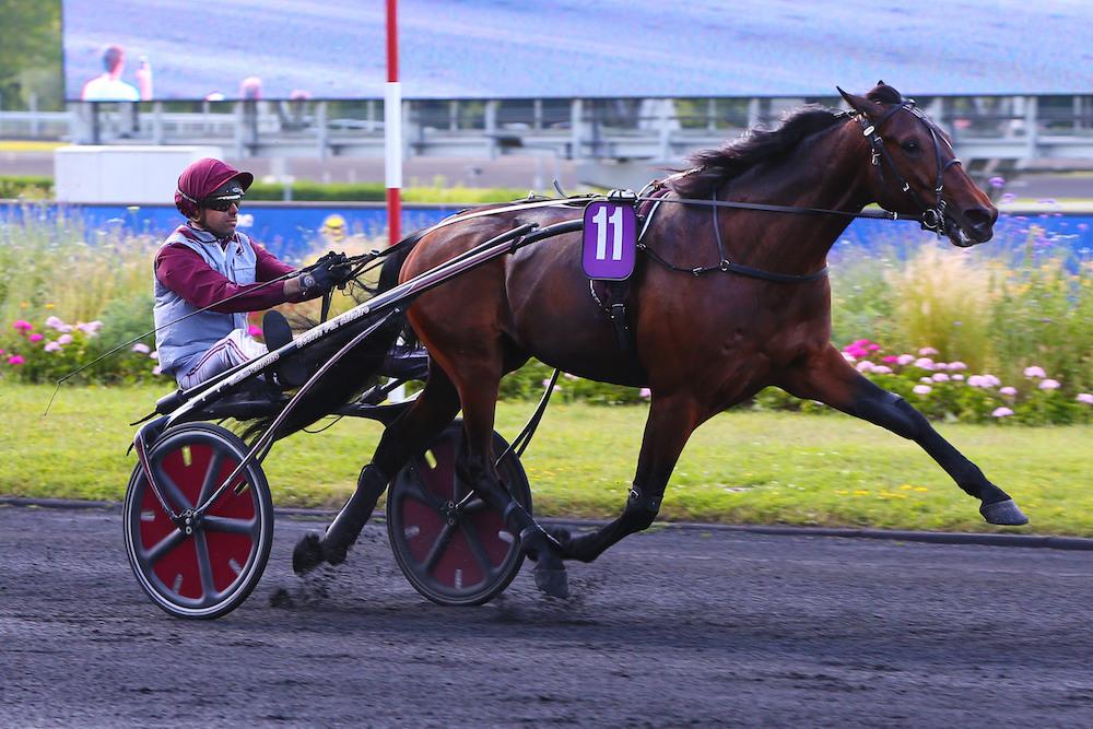 Hohneck est-il le meilleur 5 ans ? | Equidia