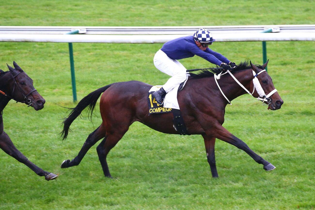Le Pro du jour - Christophe Plisson : 