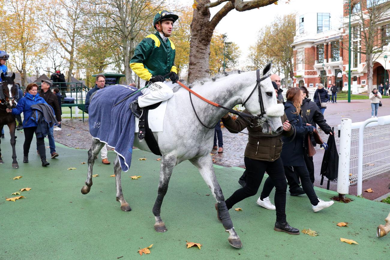Stéphane Cérulis « En 2022 il a manqué un cheval de Groupe. J ... - Equidia.fr