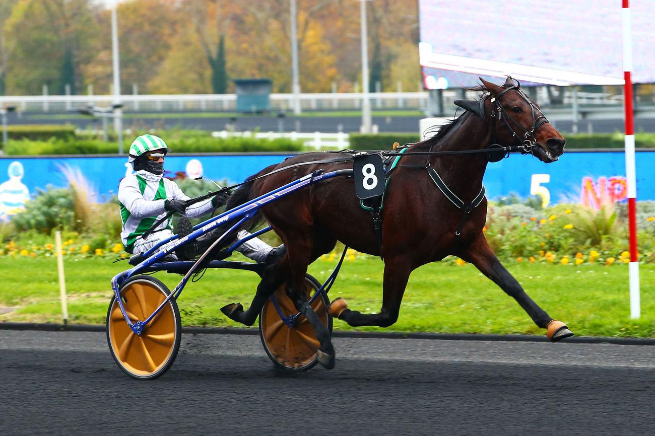 Le prono interactif du Quinté+ de dimanche à Vincennes par Maxime Bourrat