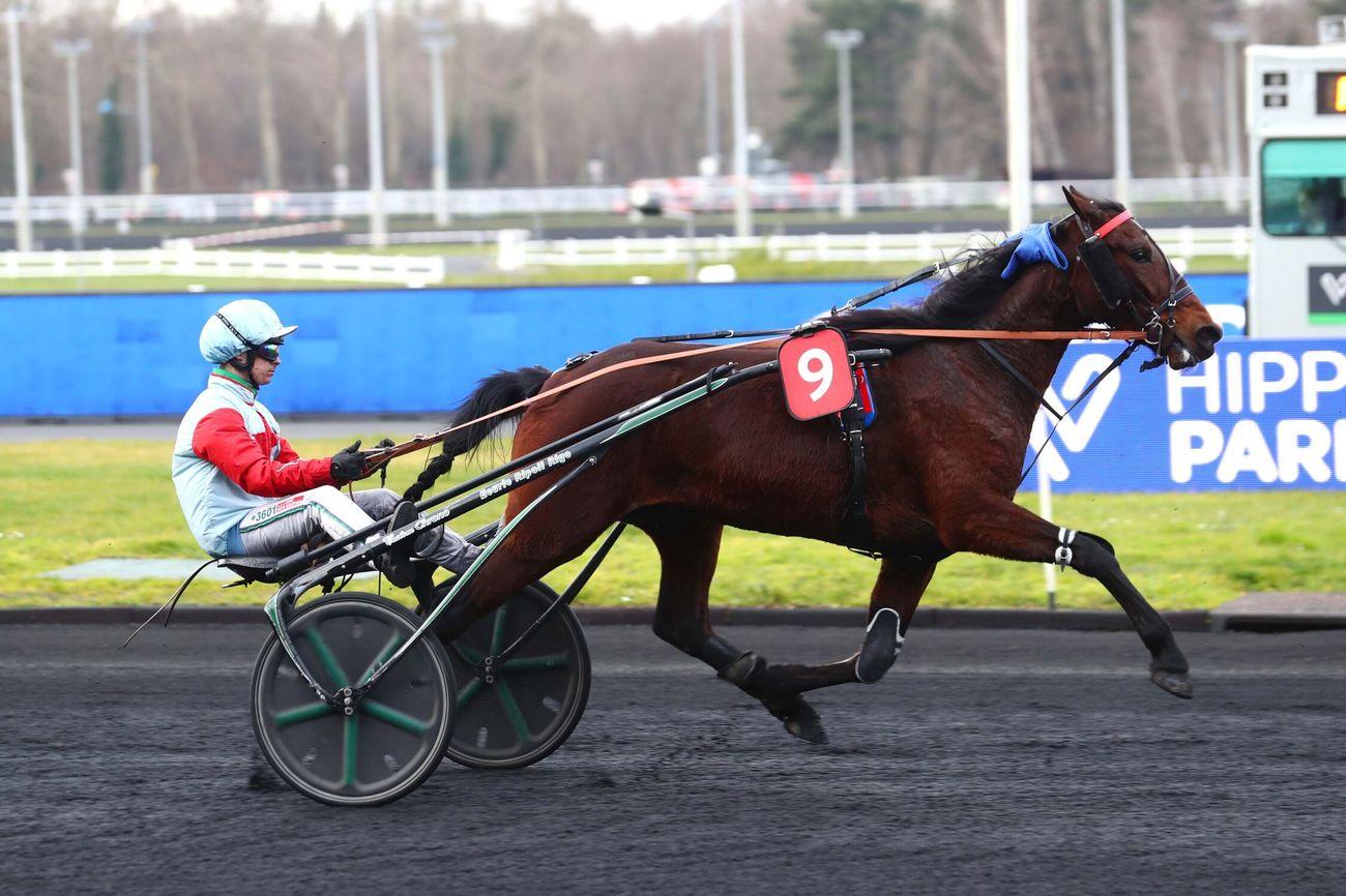 Quinté+: Le pro du jour - Antonio Ripoll Rigo : 