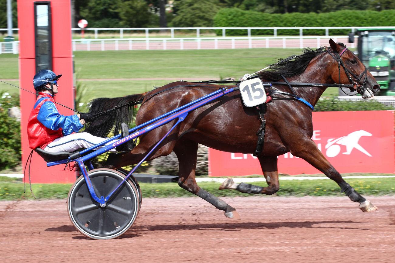 Le pro du jour - Thibault Dromigny : 