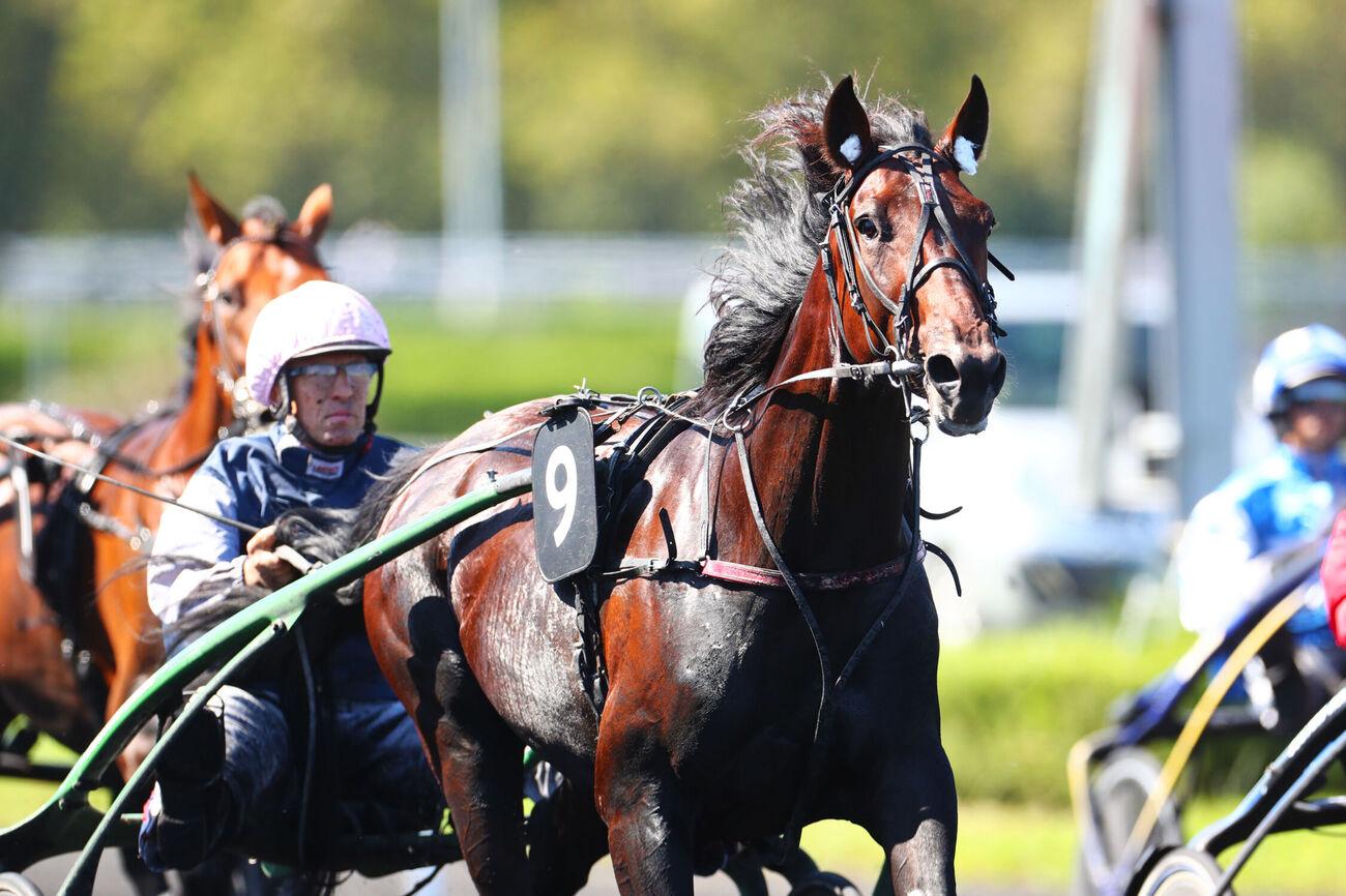 Le pro du jour - Philippe Daugeard : 