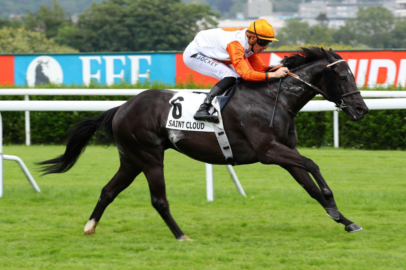 Quinté+: Le pro du jour - Henri-Alex Pantall : 