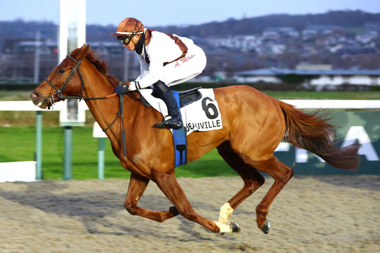 Le pro du jour - Paul de Chevigny : 