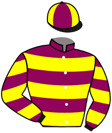 Casaque n°8