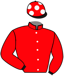 Casaque n°11