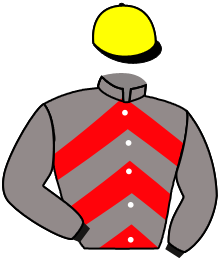 Casaque n°3