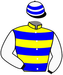 Casaque n°10