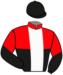 Casaque n°16