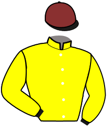 Casaque n°3