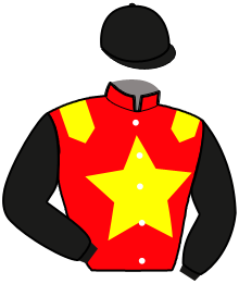 Casaque n°11