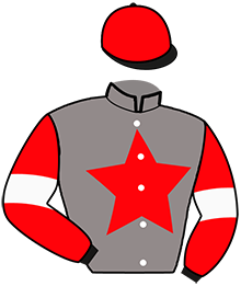 Casaque n°11