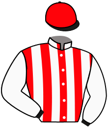 Casaque n°5