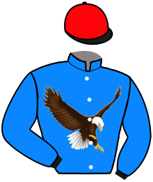 Casaque n°7