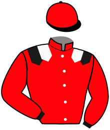 Casaque n°6