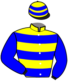 Casaque n°2