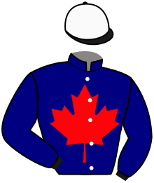 Casaque n°11