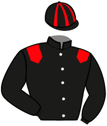 Casaque n°6