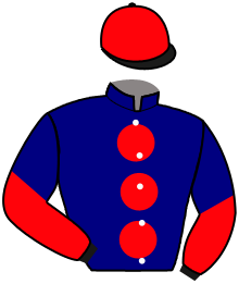 Casaque n°6