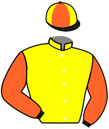 Casaque n°4