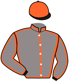Casaque n°2