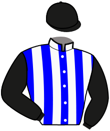Casaque n°14