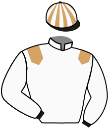 Casaque n°1