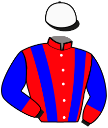 Casaque n°8