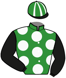 Casaque n°12