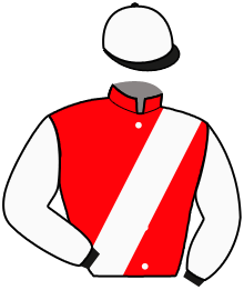 Casaque n°2