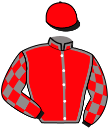 Casaque n°6