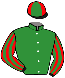 Casaque n°11
