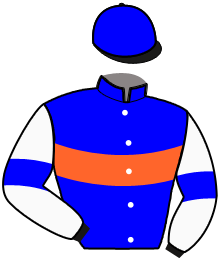 Casaque n°10
