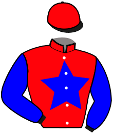 Casaque n°17